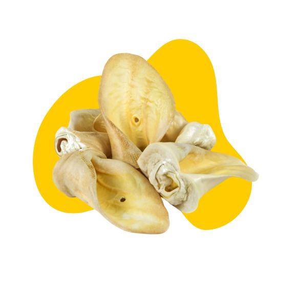 GNATEK UCHO WOŁOWE BIAŁE