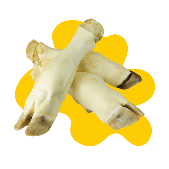 GNATEK NOGA CIELĘCA BIAŁA