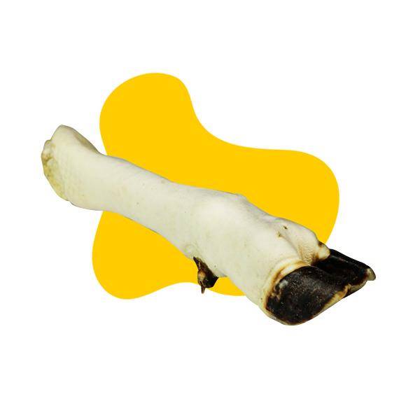 GNATEK NOGA BARANIA BIAŁA