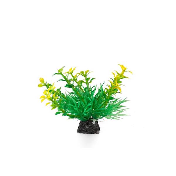 AQUA NATURA ROŚLINA ZIELONO-ŻOLTA 10CM