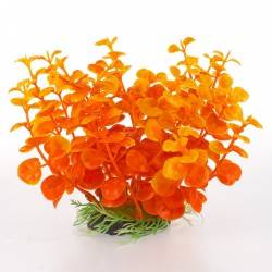 Aqua Natura,  roślina, do dekoracji akwarium, żwo