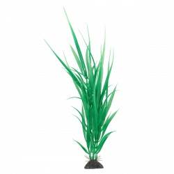 Aqua Natura,  roślina, do dekoracji akwarium, ziel