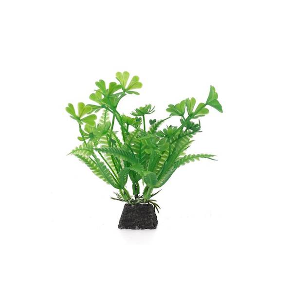 AQUA NATURA ROŚLINA DO DEKORACJI AKW. 10CM