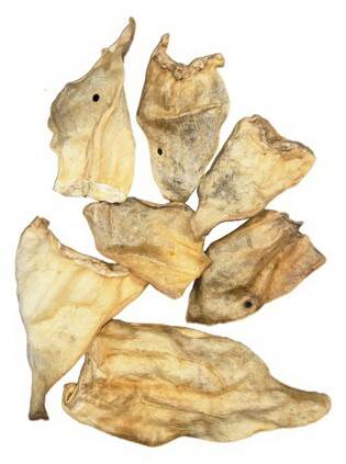 YARRO Ucho wołowe naturalne jasne 12szt/op