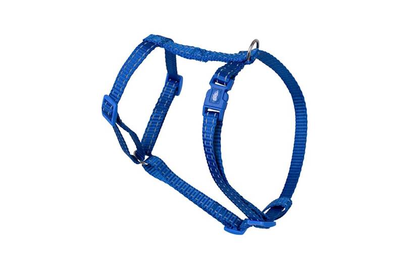 EU SZELKI NYLONOWE Z REG. DLA KOTA NIEBIESKIE