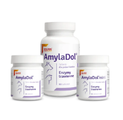 DOLVIT AMYLADOL MINI 90TAB.