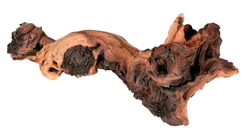 ZX KORZEŃ MOPANI MAŁY