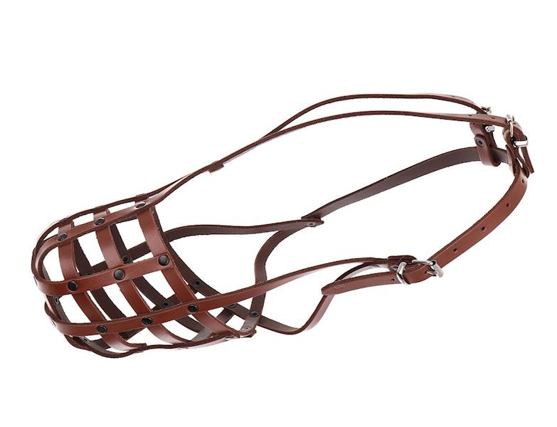 DINO KAGANIEC SK. NITOWANY 39 CANE CORSO ANG. BRĄZ