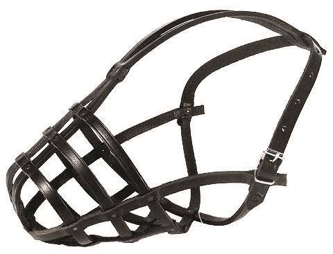 DINO KAG. SK. 19 STAFFORD