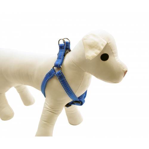 DINO SZELKI TAŚMA REG. 25mm/60-90cm ODBL. NIEBIES 