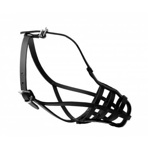 DINO KAGANIEC SK. NIT. 7 FOKSTERIER