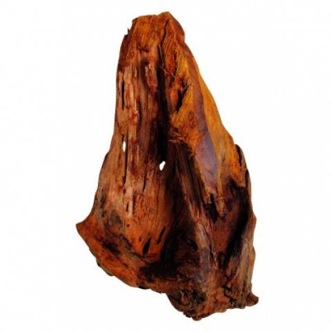 TAT KORZEŃ ELBASIA DRIFTWOOD 24-29CM