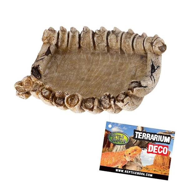 EU MISKA DO TERRARIUM KOŚCI