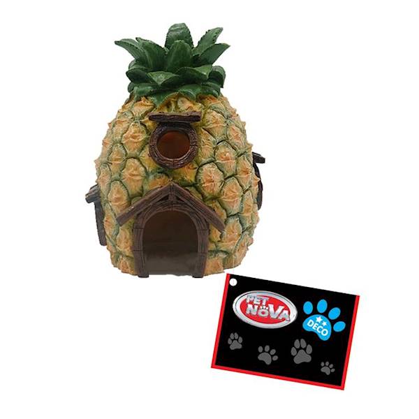 EU KRYJÓWKA GRYZONIA ANANAS