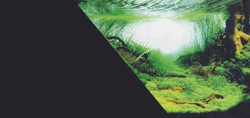 ZX TŁO DWUSTRONNE 40X60 AMAZONKA/CZARNE