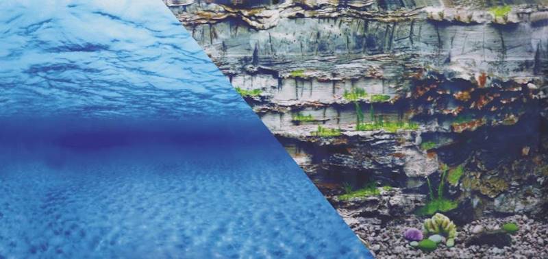 ZX TŁO DWUSTRONNE 40X60 WODA/PODWODNA SKAŁA