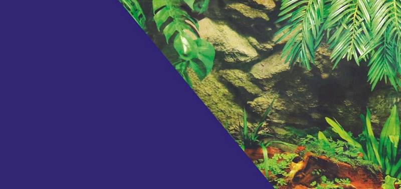 ZX TŁO DWUSTRONNE 60X120 PODWODNA SKAŁA/NIEBIESKIE