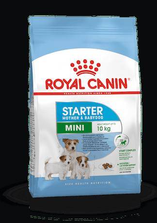 RC KARMA MINI STARTER M&B 4KG