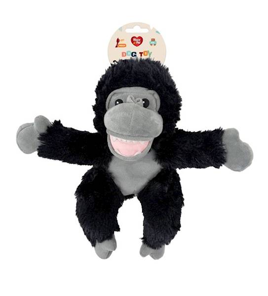 AQUAEL MAŁPA CZARNA