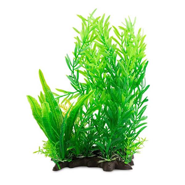 Aqua Natura,  roślina, do dekoracji akwarium 28CM