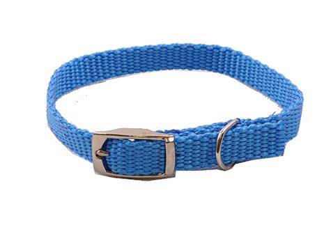 DINO OBROŻA TAŚMA 13MM/37CM NIEBIESKA