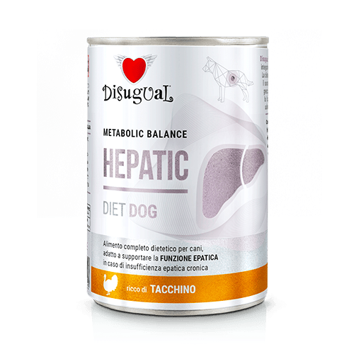 DISUGUAL 400G PIES HEPATIC INDYK