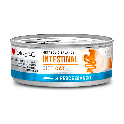 DISUGUAL 85G DLA KOTA INTESTINAL SOLA