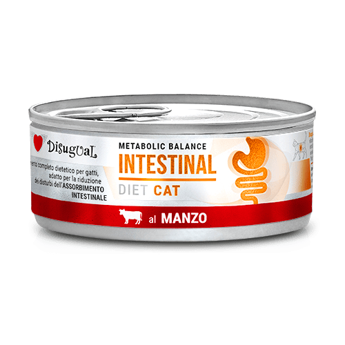 DISUGUAL 85G DLA KOTA INTESTINAL WOŁOWINA