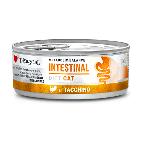 DISUGUAL 85G DLA KOTA INTESTINAL INDYK