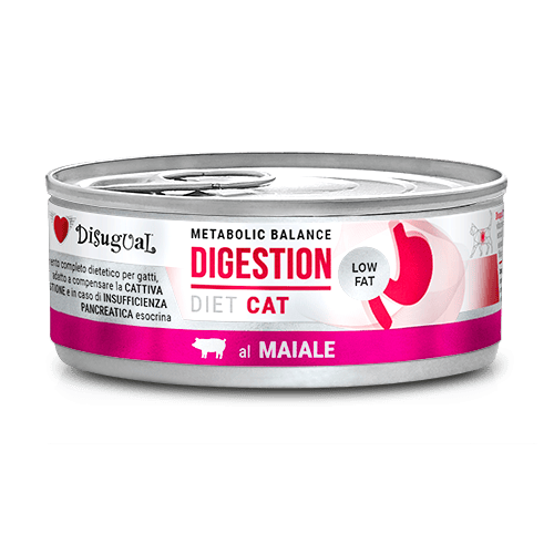DISUGUAL 85G DLA KOTA DIGESTION WIEPRZOWINA