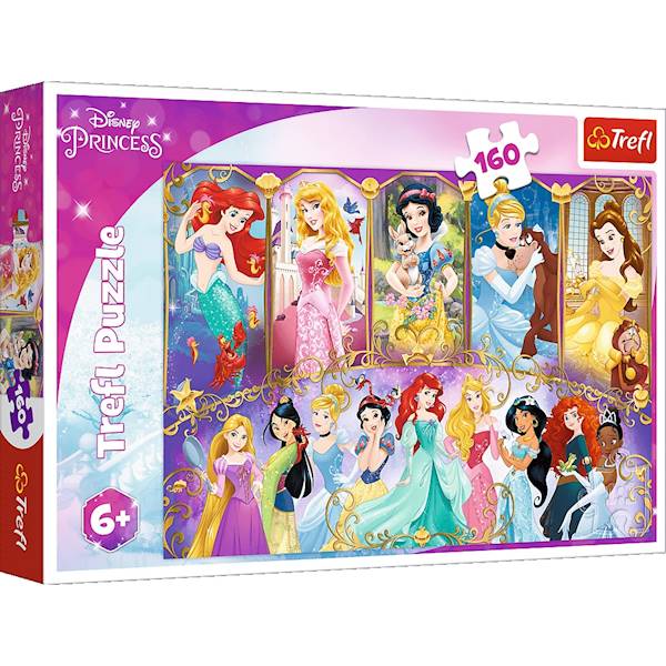15407 160 PORTRETY KSIĘŻNICZEK / DISNEY PRINCESS 