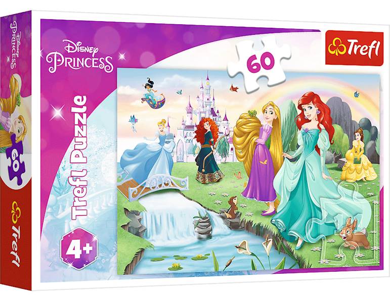 17361 60 POZNAJ KSIĘŻNICZKI / DISNEY PRINCESS