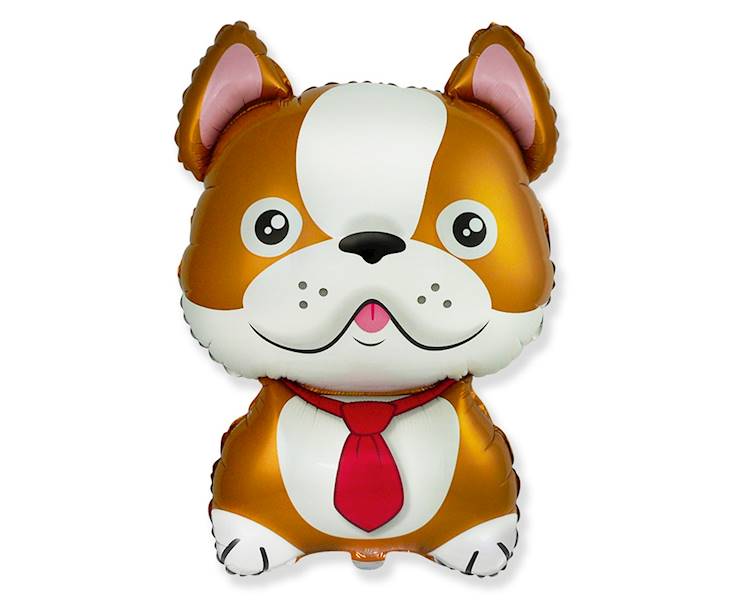 901783 BALON FOLIOWY 24"PIES BULLDOG BRĄZ CZARNY