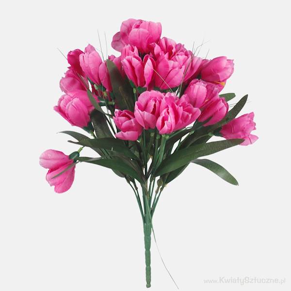 QA091 KROKUS X12