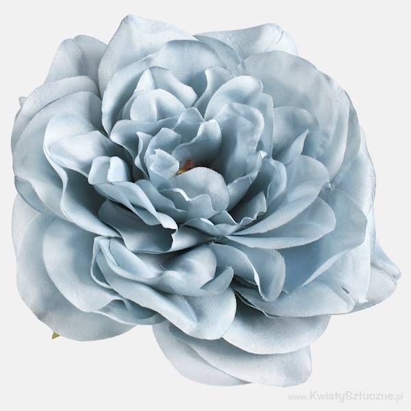 W540P PEONIA OPAK 6 SZT. 