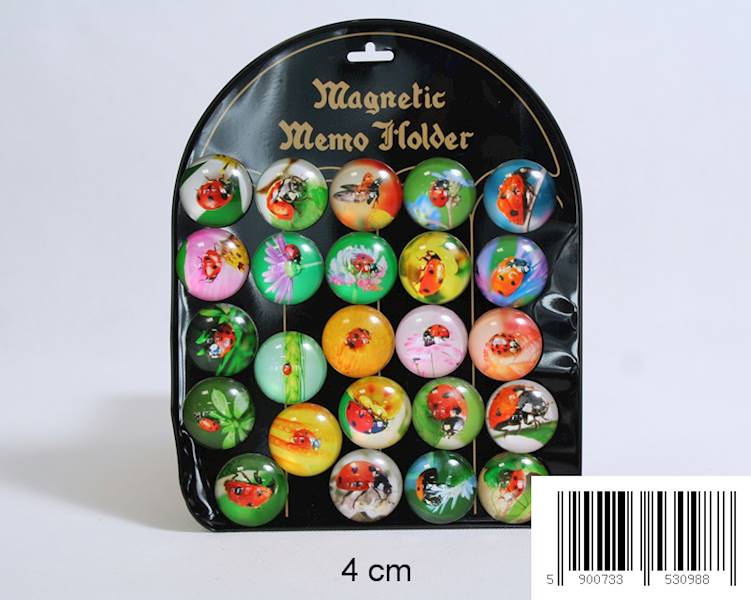 1440D/ MAGNES BIEDRONKA