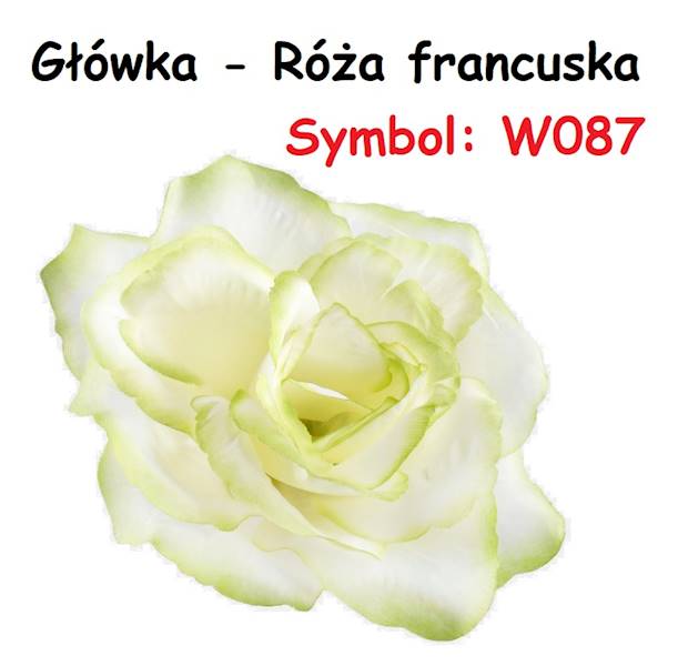 W087 RÓŻA FRANCUSKA OPAK 12SZT
