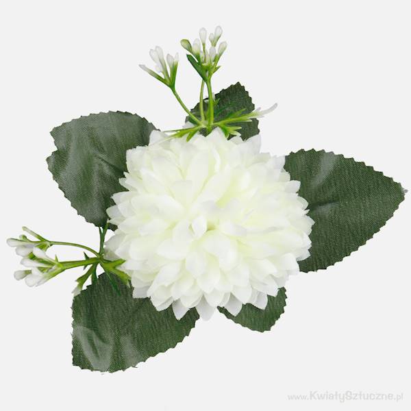 W422 ASTER SATYNOWY Z LISTKAMI OPAK 12 SZT. 