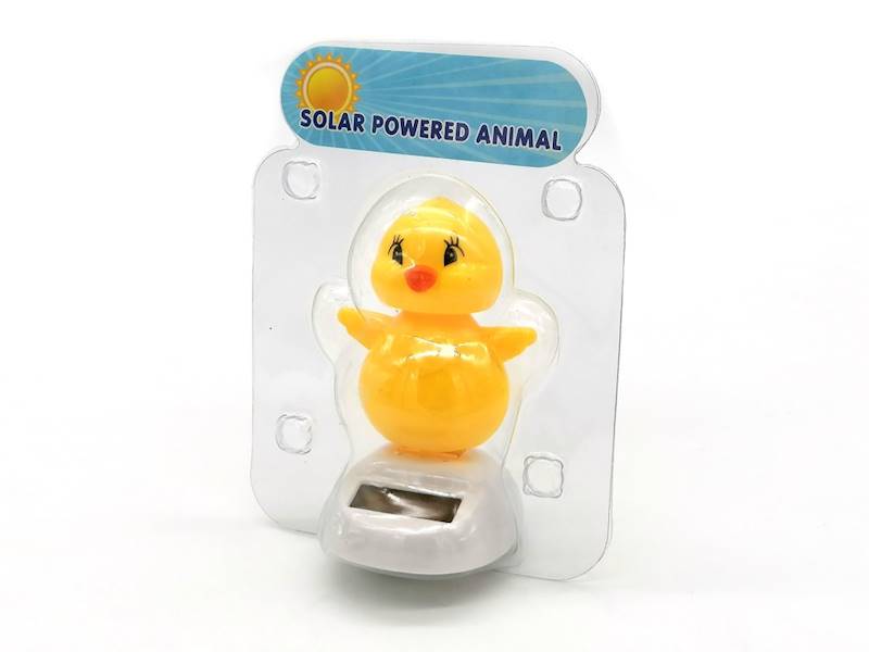 KIWACZEK SOLAR - KACZUSZKA 