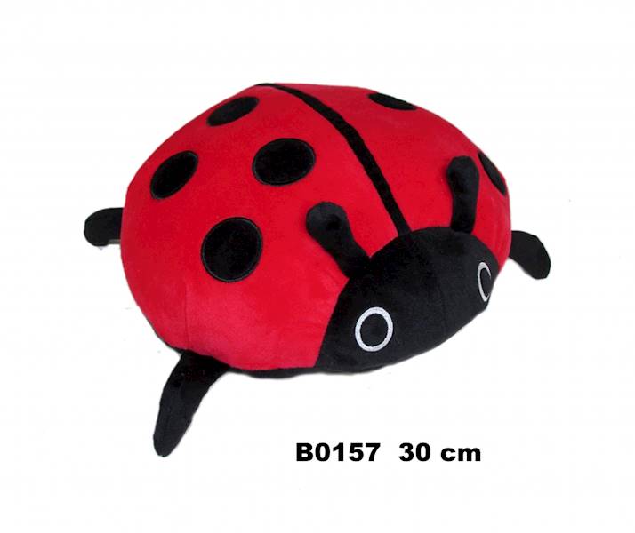 B0157 BIEDRONKA