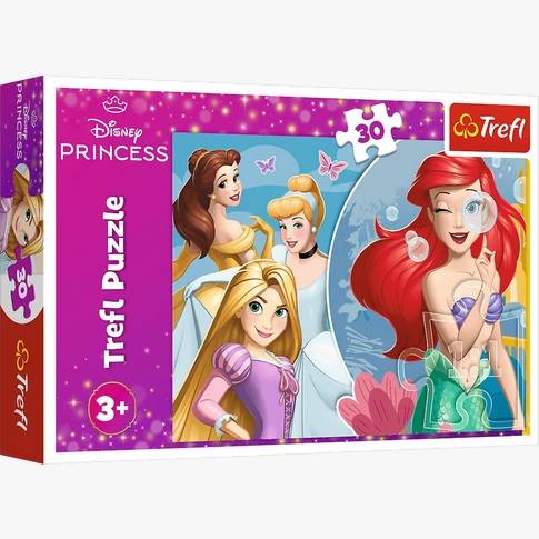 18308 30 PIĘKNY DZIEŃ KSIĘŻNICZEK /DISNEY PRINCESS