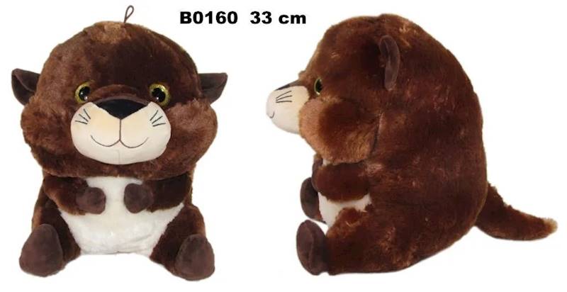 B0160 WYDRA