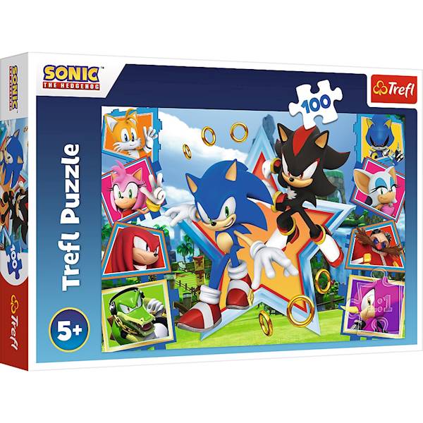 16465 100 POZNAJ SONICA / SEGA SONIC THE HEADGEHOG