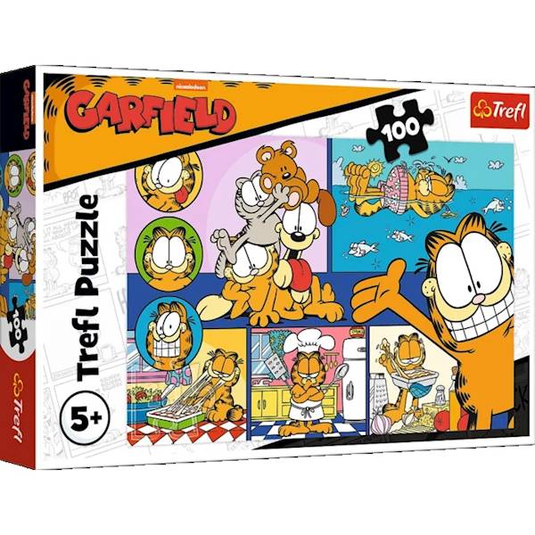 16521 100 - LENIWY GARFIELD