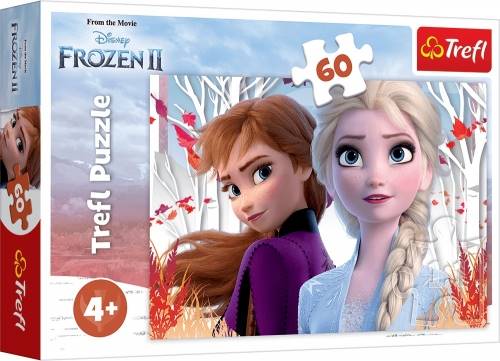 17333 60 ZACZAROWANY ŚWIAT ANNY I ELSY FROZEN 2