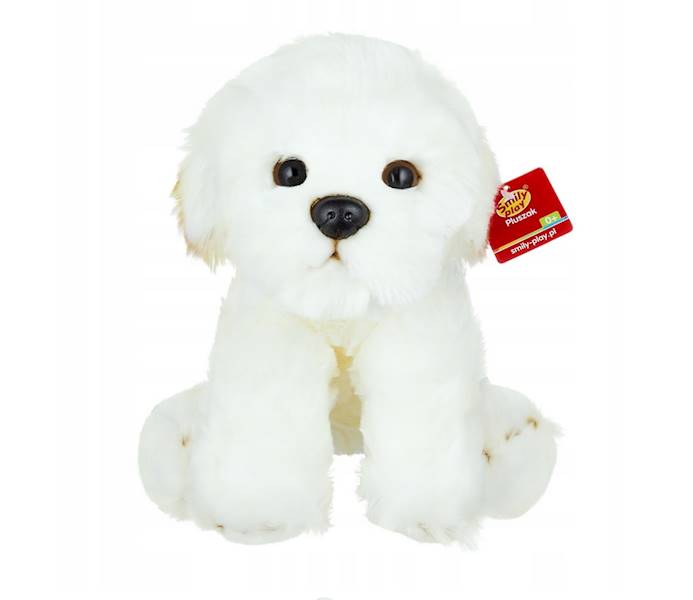 84404BI AN01 PLUSZAK PIES BICHON 1/24