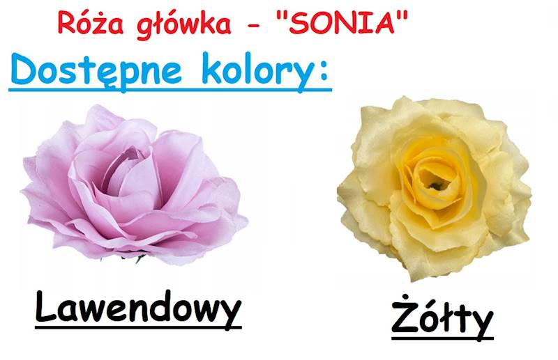 3349 SONIA W  473730