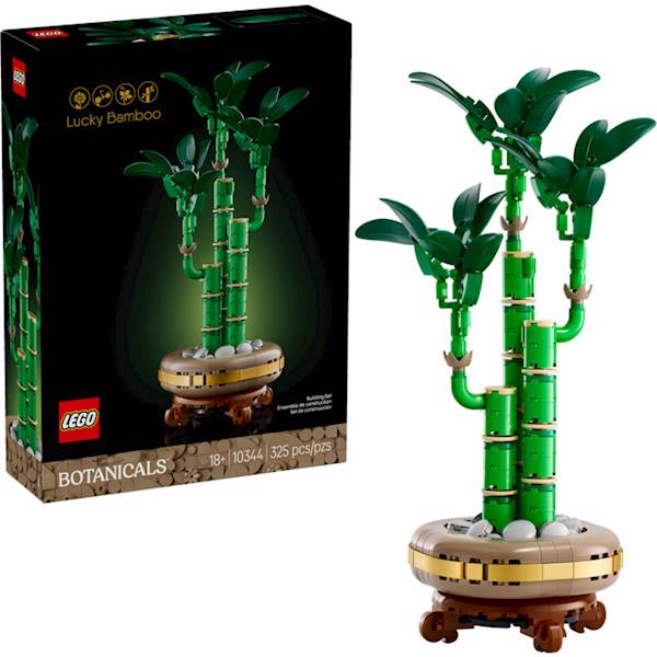 10344 DRACENA SANDERA BOTANICALS