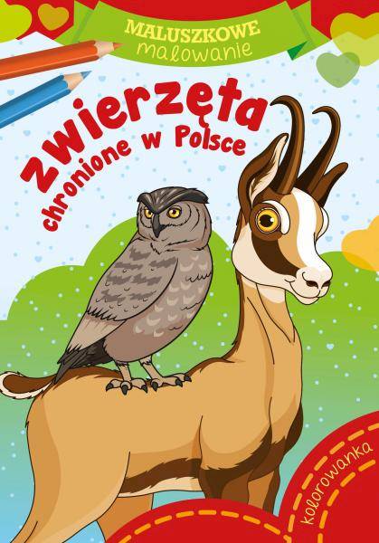 MALUSZKOWE MALOWANIE - ZWIERZĘTA CHRONIONE W POLSC