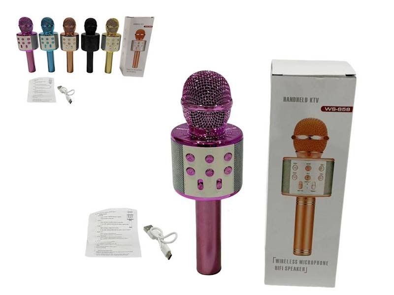 Z10613 MIKROFON KARAOKE